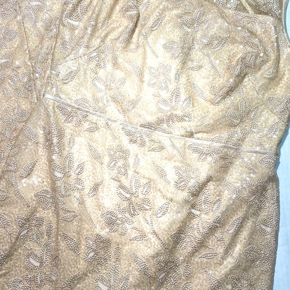 Lauren Ralph Lauren Embroidered Sequins Sleeveless Champagne MaXi Dress NWT 12 - Picture 8 of 15